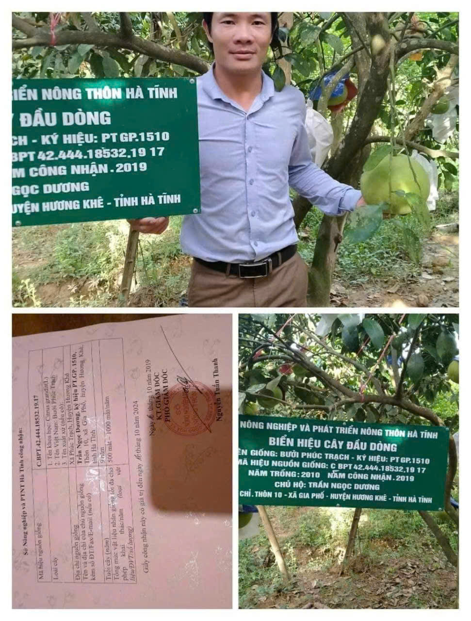 Chứng chỉ